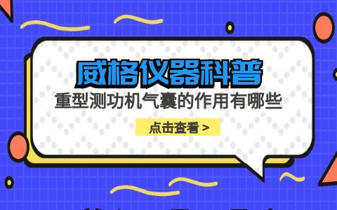 威格儀器-重型測功機(jī)氣囊的作用有哪些插圖